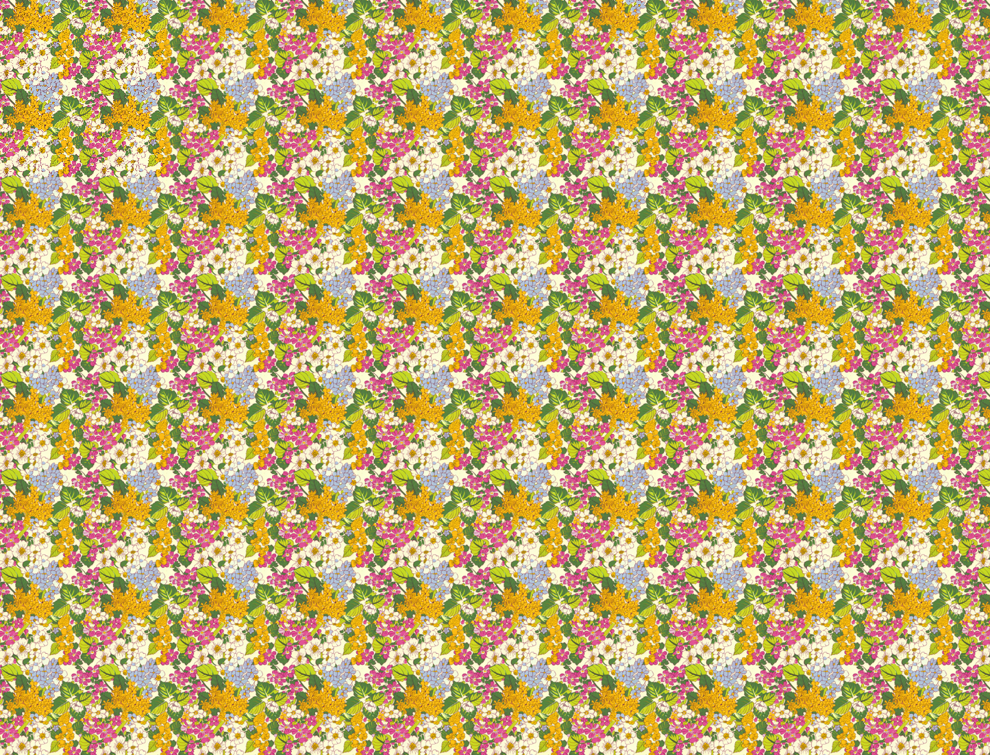 Camellia